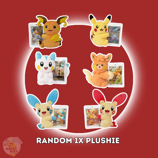 ELECTRIC PLUSH BLIND BOX