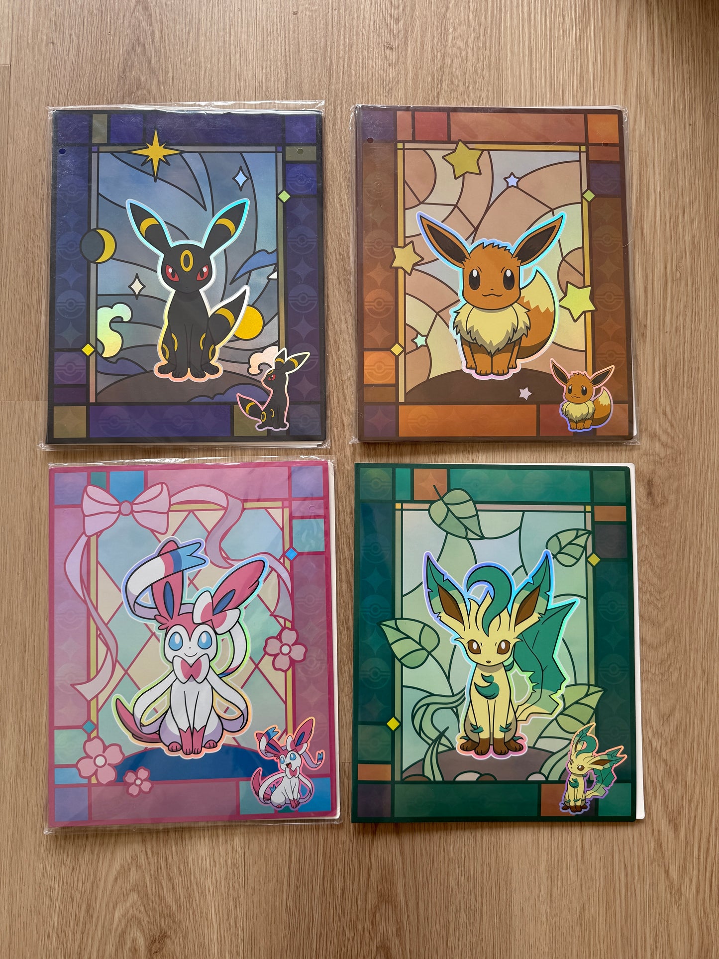 GEM 2 BINDER SET